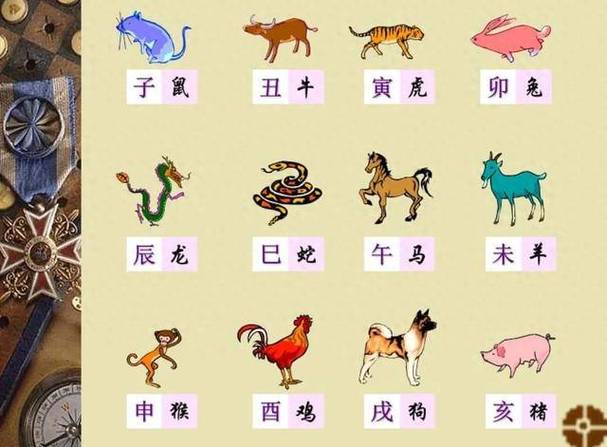 土命马与水命狗相配吗？土马和火狗的缘分如何？