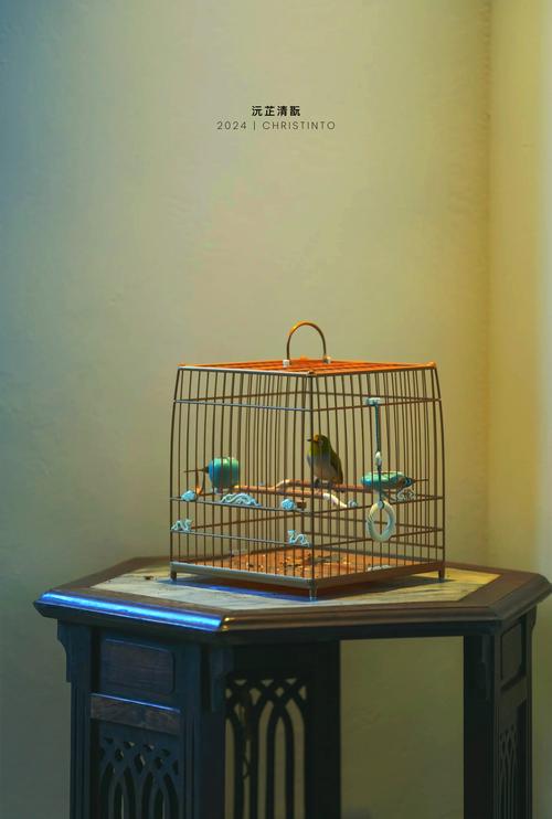 家里摆放鸟笼会对风水产生怎样的影响呢？