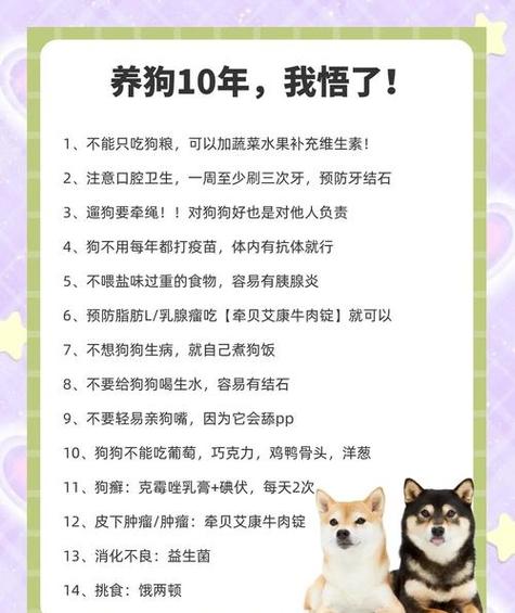 养狗真的嫩改变家里的风水吗？