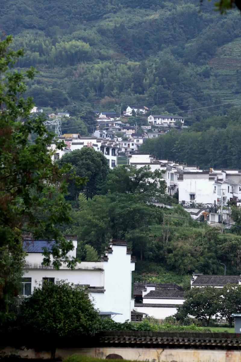 风水真的会影响整个村子的发展吗？