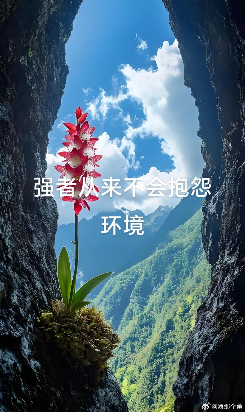 什么是绝处逢生的命格，能否在逆境中迎来转机？