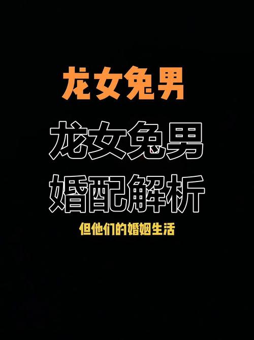 属兔人与属龙人之间，究竟有着怎样的缘分，能跨越生肖界限，携手共度一生？