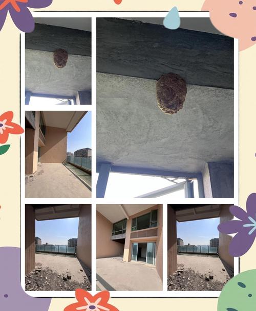 马蜂建巢的位置与当地风水环境之间是否存在某种关联？