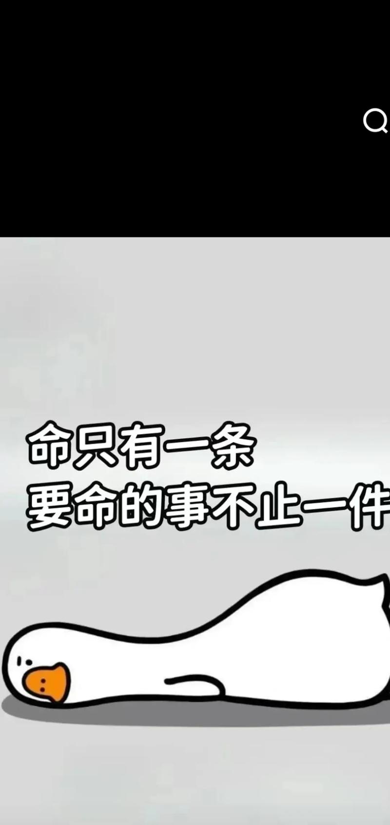 ‘将命只有一条命’和‘一命换一命’分别是什么意思？