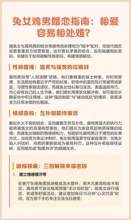 女属兔男属鸡的婚姻关系如何改善或提升？