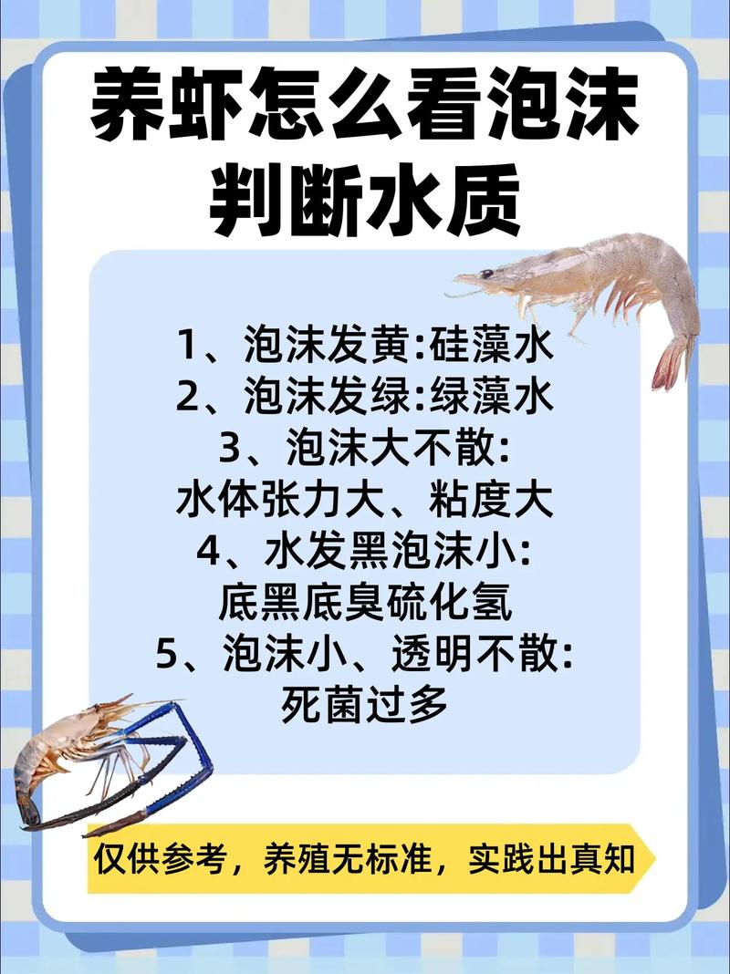 客厅养虾会对家居风水产生不良影响吗？