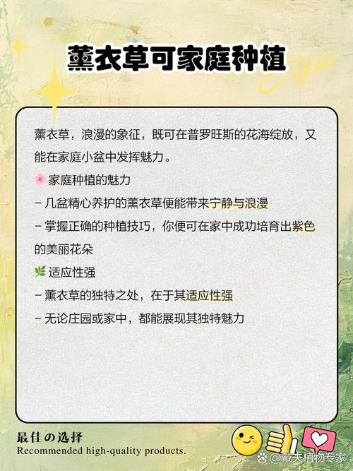 这片土地适合种植薰衣草吗？其风水条件如何？