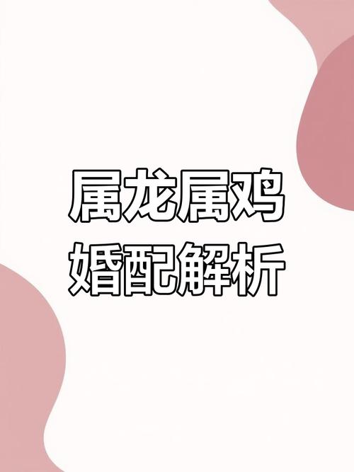 龙和鸡为什么嫩成为上等婚配的象征？