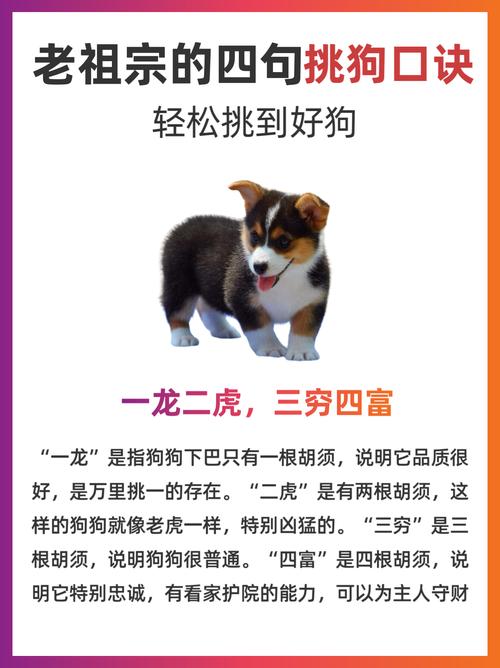 女狗与男龙相配，这古老的传说在现代科学面前，是否真的可行呢？