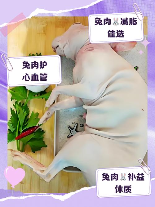 风水中兔子肉嫩吃吗？其营养价值、食用禁忌及对健康的影响有哪些？