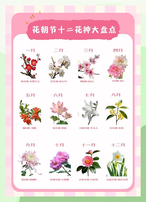 百花之命是什么命格？