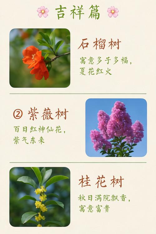 门口种树对风水有影响吗？哪种树适合门口种植？