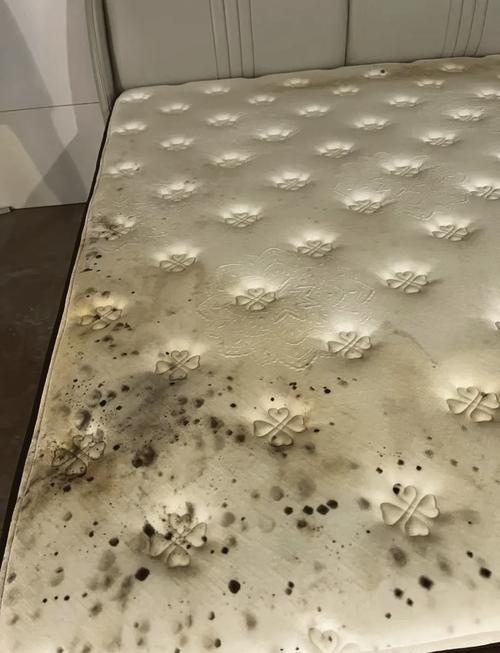 床底发霉会对家居风水产生哪些不良影响呢？