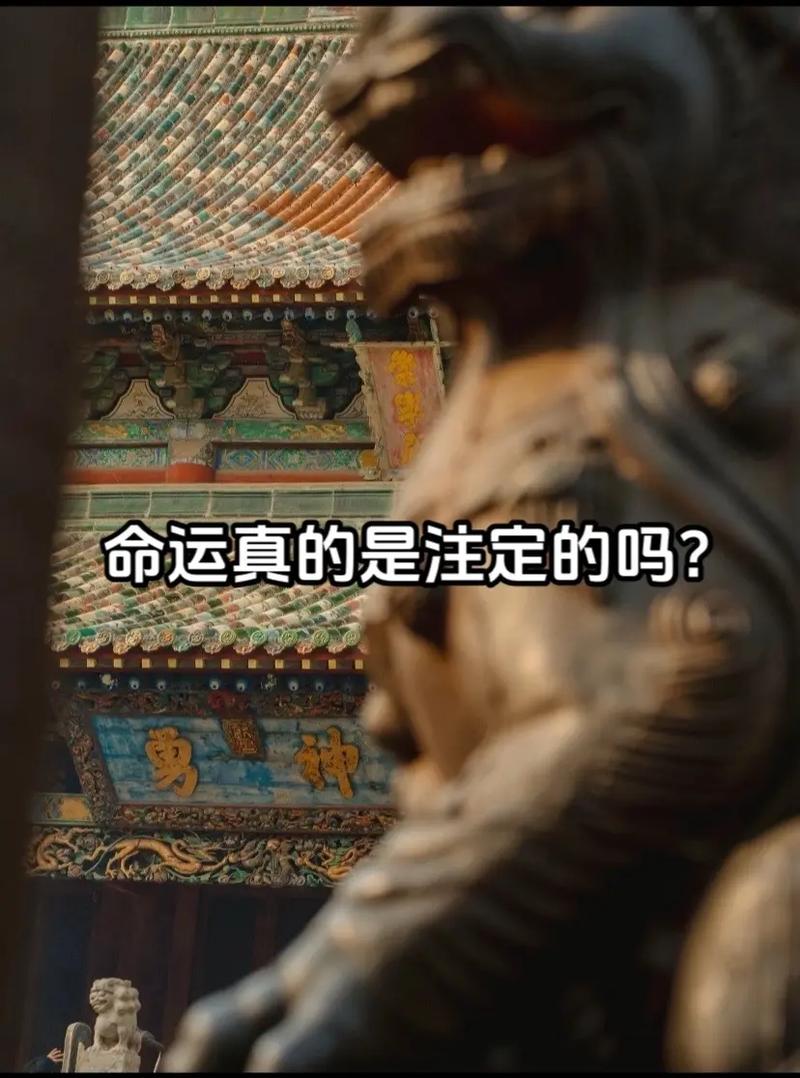 命运真的存在吗？接受命里注定的一切，这是否就是所谓的运气？