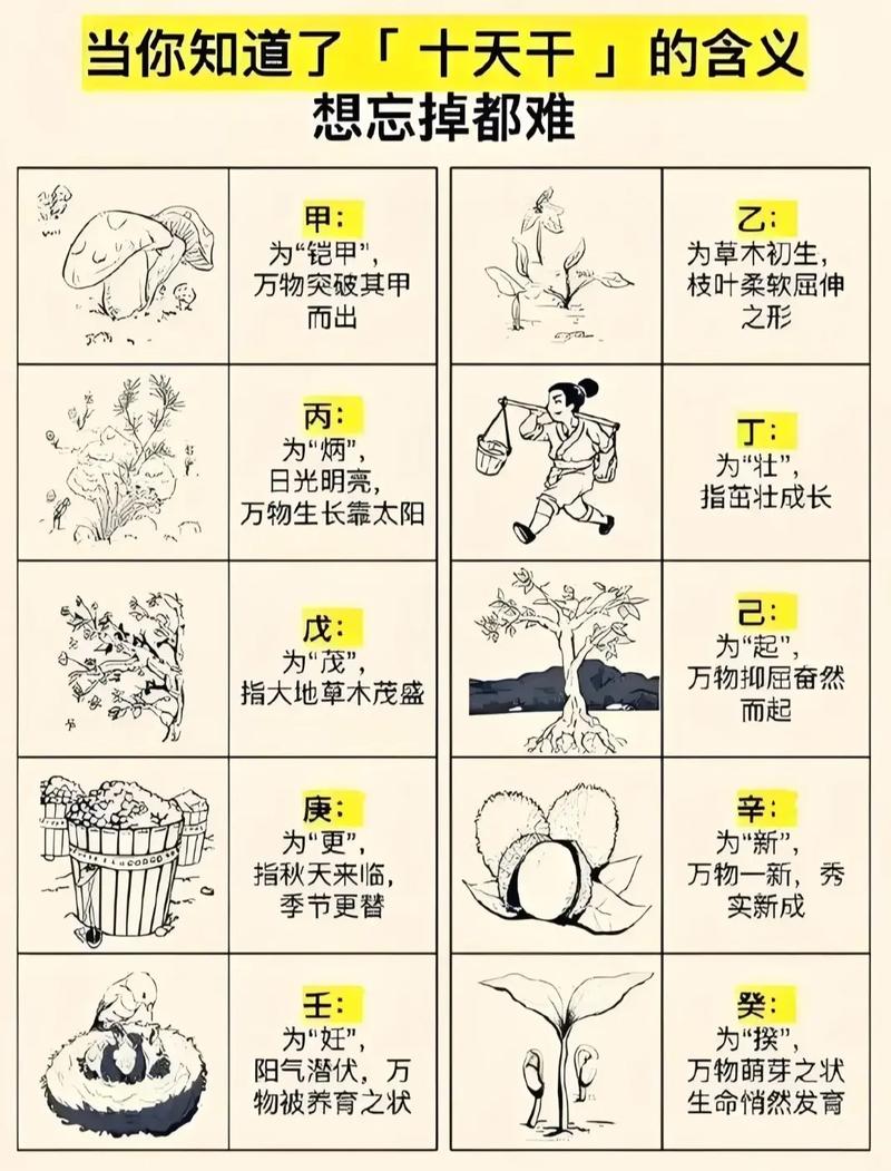 天干地支的由来及天干命是什么意思？