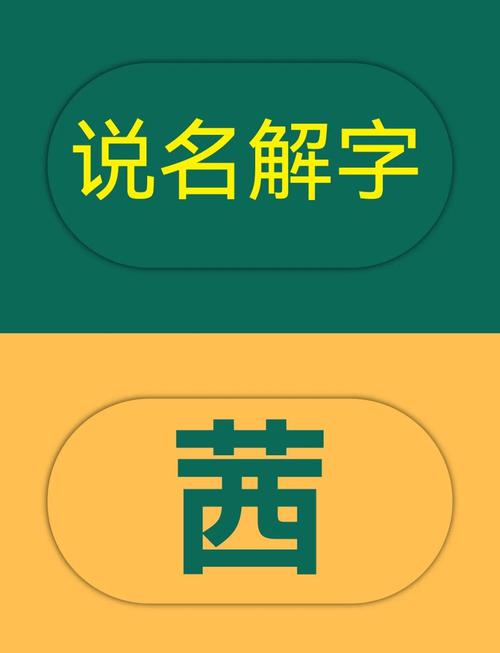 西字取名寓意女孩，有哪些美好的象征和含义？