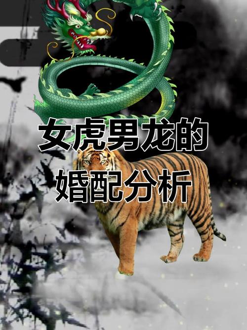 属虎属龙夫妻的财运如何改善？