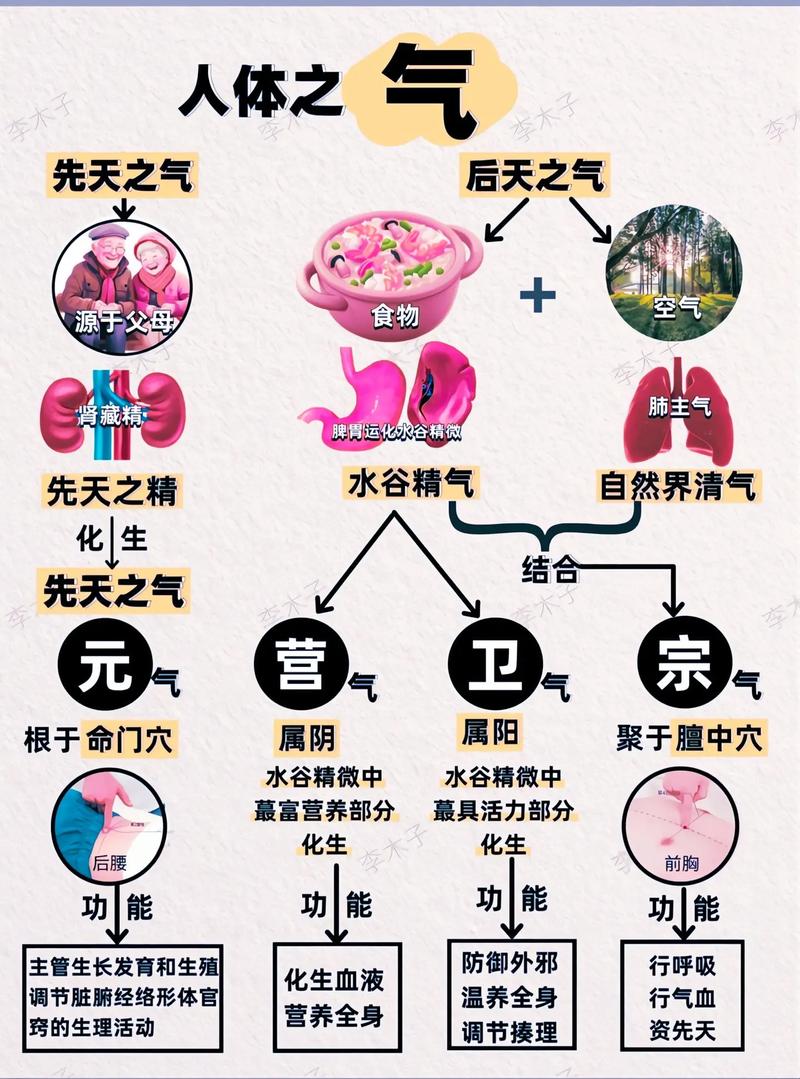 八字命理中，气之进退是如何体现的？