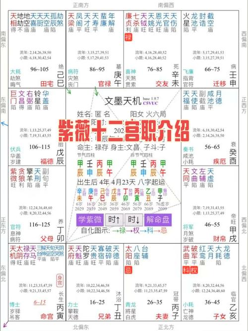 紫微星坐命命盘各宫位代表什么？