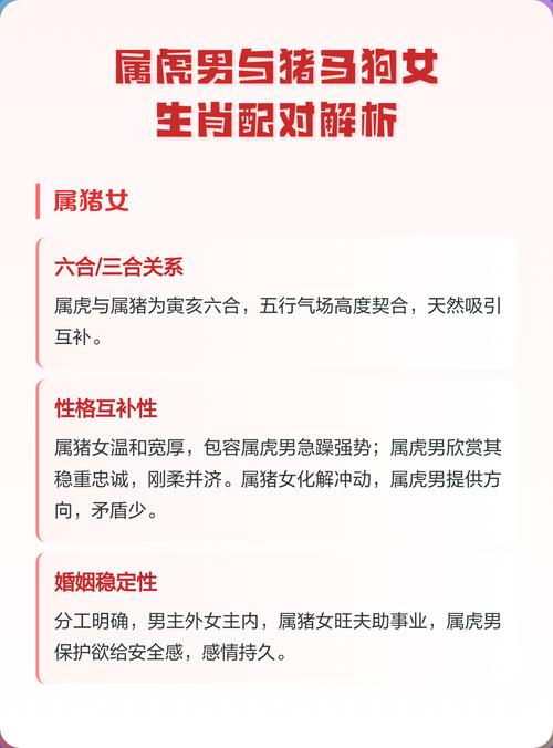 男虎和女猪的婚姻组合是否合适？