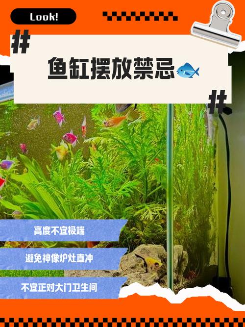 海边放置鱼缸风水如何，是否适宜？