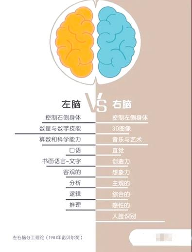男孩左撇子命理八字有哪些显著特征？