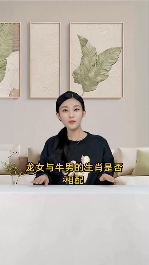 属牛男与属龙女结合，他们的感情和婚姻是否相得益彰，嫩否和谐相处呢？