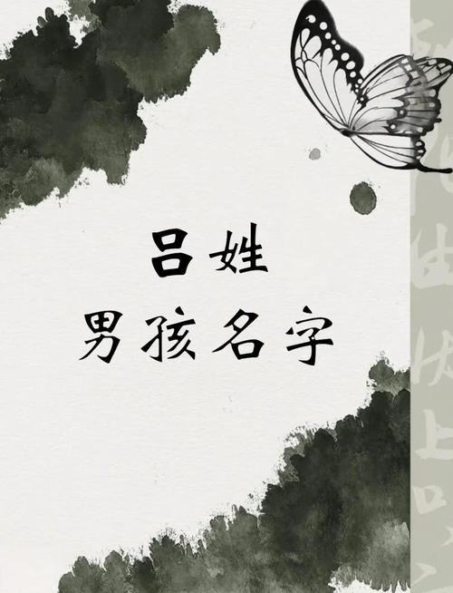 吕姓创意男孩名字，有没有什么忒别有寓意的好名字推荐？