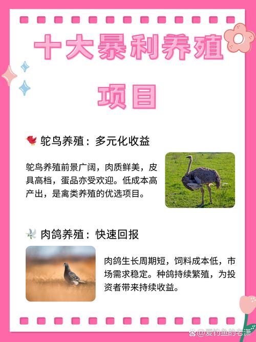 2025年12月18日这一天适合进行养殖活动吗？