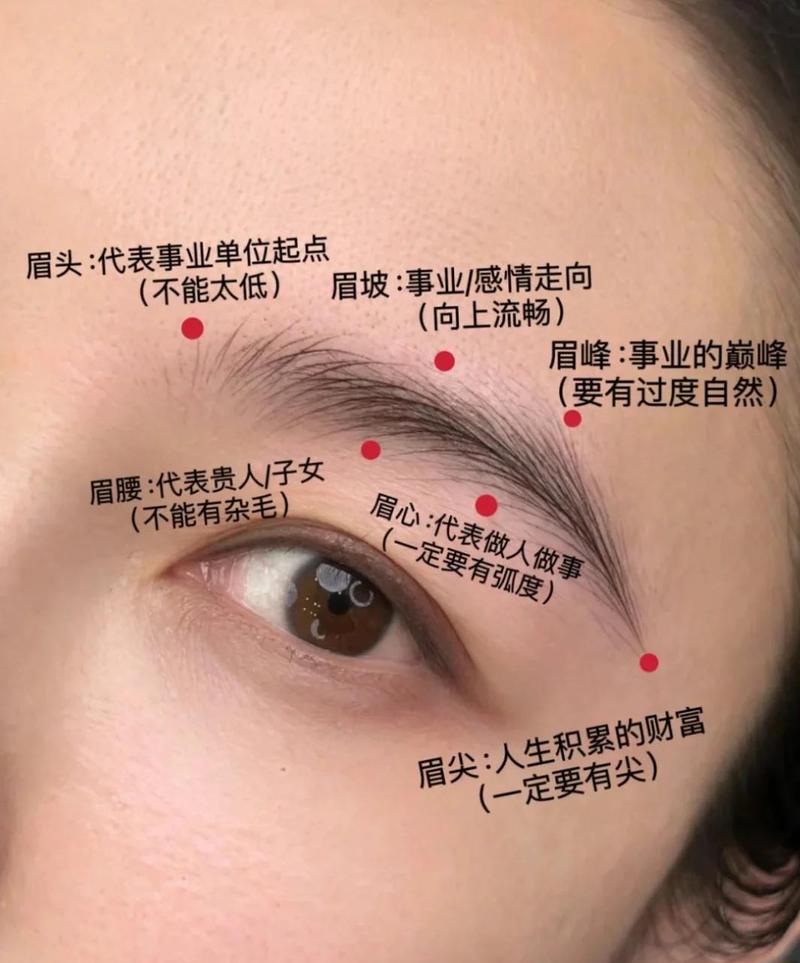 风水眉毛有什么特别的说法或含义吗？