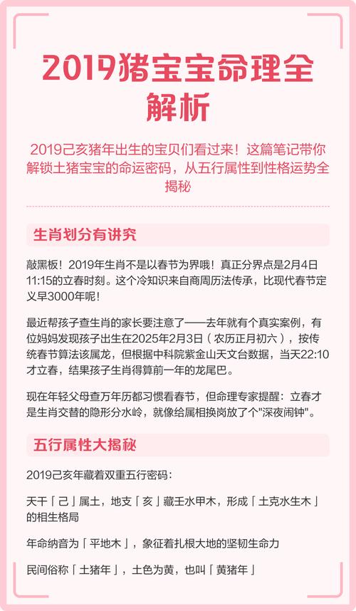 明年出生的猪宝宝是什么命格？有没有什么特别的命理特点呢？