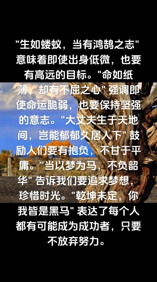 命无正曜格是否意味着人生道路充满坎坷与挑战？