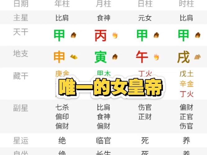 真武命格在八字中具体指的是什么？