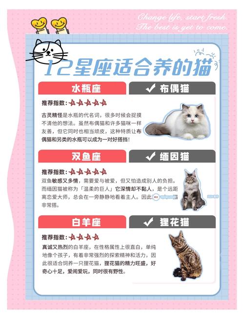 牛舍风水适宜养猫吗？这样的布局是否吉利？