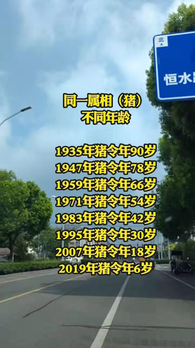 2019年属猪，那今年是什么年份的猪生肖？