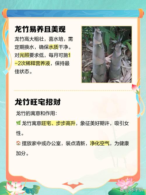 大门前种竹林会对家宅风水产生怎样的影响呢？