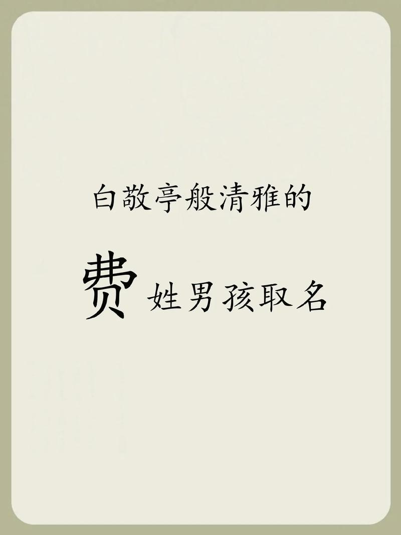 姓费的男孩取有涵养的名字叫什么好？