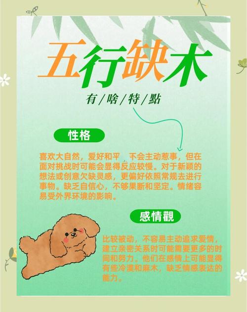 五行中木元素不足，如何有效补充和平衡五行木元素？