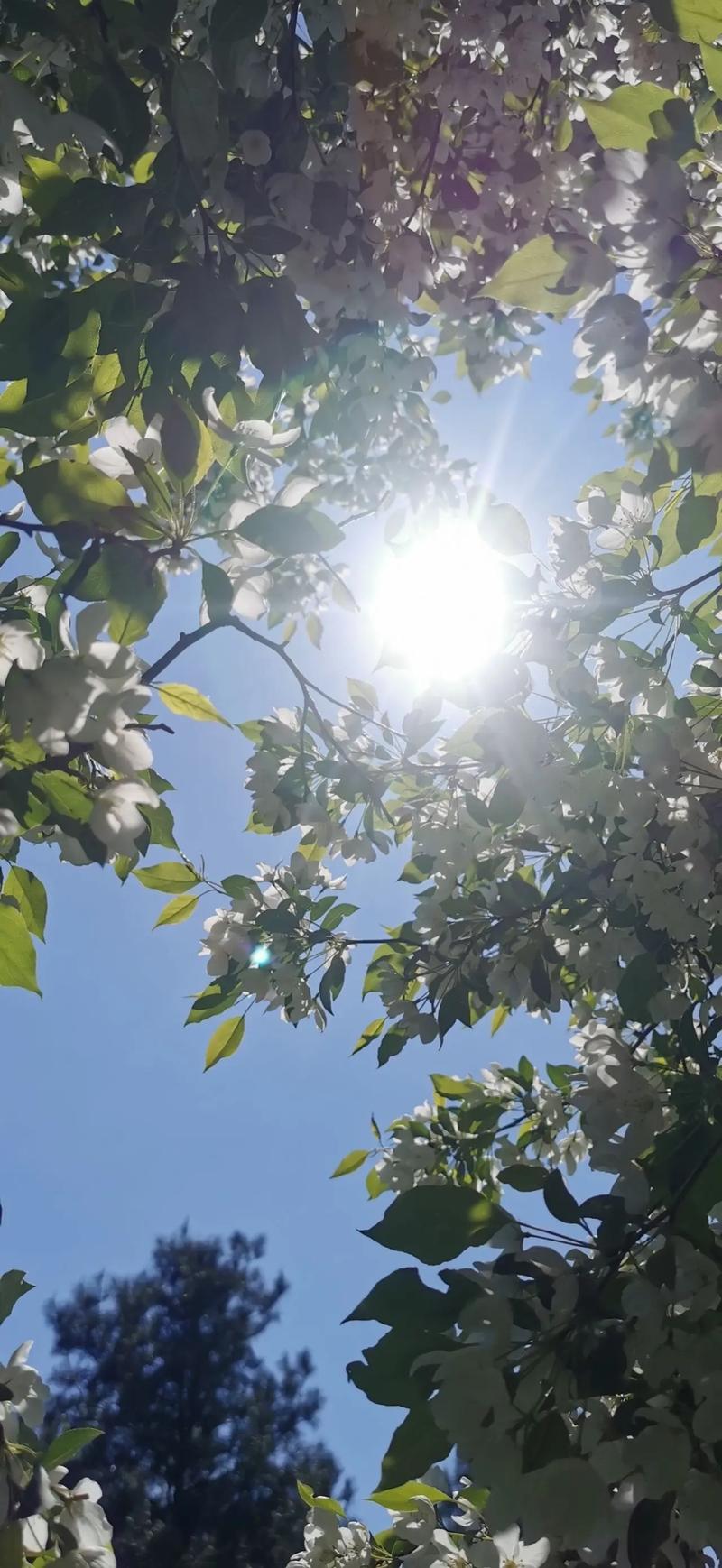 童子命如何同过修炼哪种功夫来改变命运？