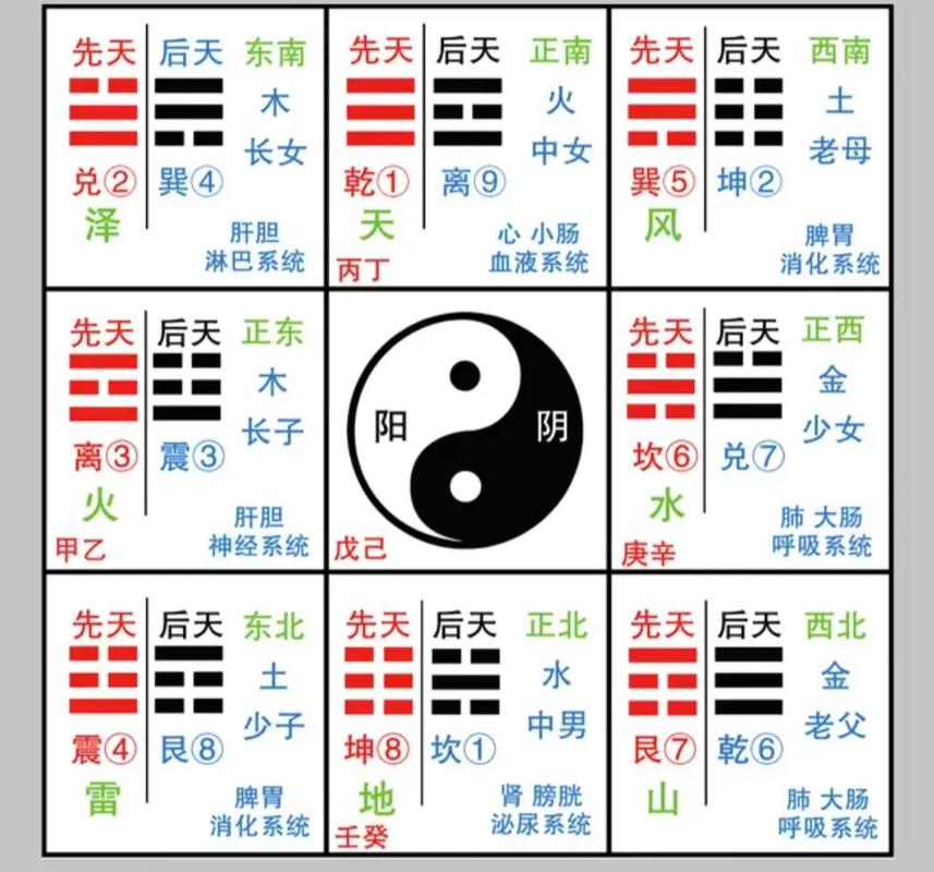 风水相搏是否等同于风水犯肺，两者之间有何区别？