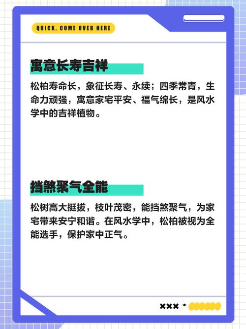 家里种植松柏会对风水产生怎样的影响呢？