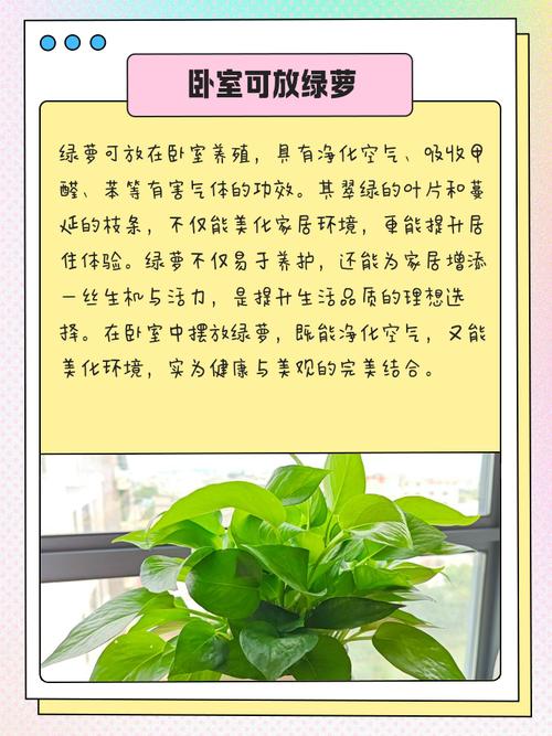 卧室适合种植花卉，对风水有好处吗？