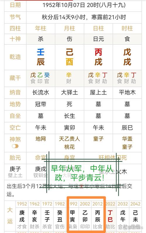 丙生酉月是什么命格，能否详细解释一下这个命理的含义呢？