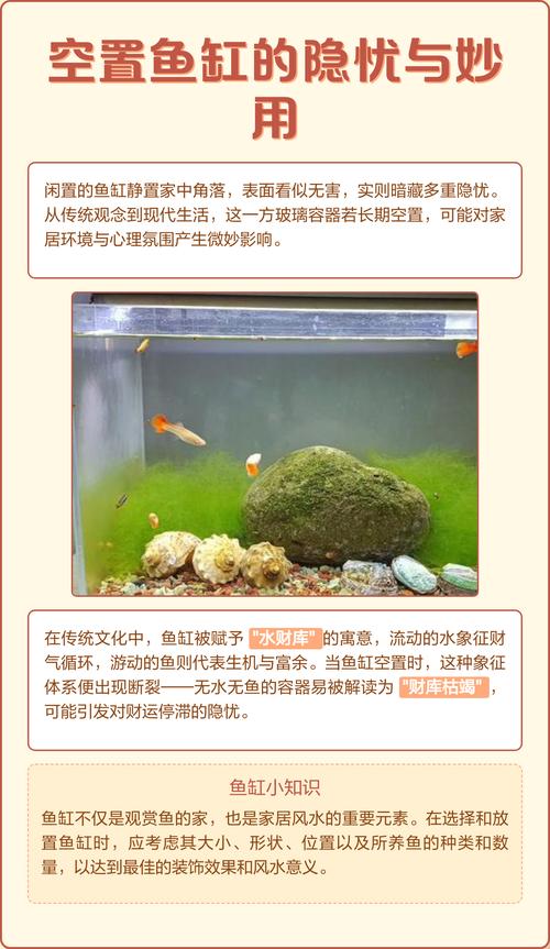 风水学里，鱼缸可以长时间空置不养鱼吗？