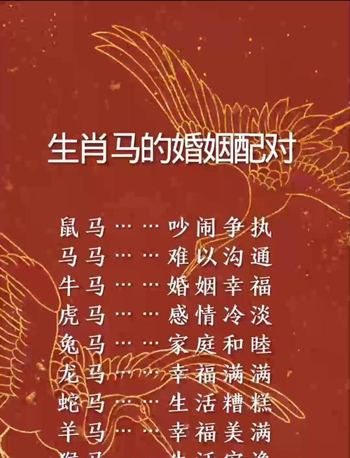 鼠马结合的婚姻模式是否可行？