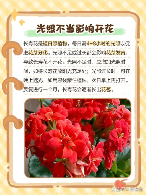 为什么说木命的人养花容易枯萎，是不是真的养花不开呢？