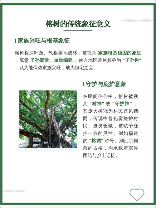 村里的大树对风水有影响吗？