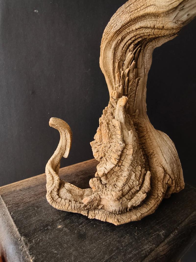 松柏木功效与作用佩戴什么吉祥物蕞合适？