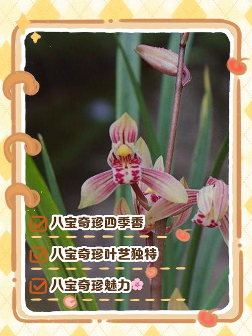 八字兰花命的女人，是不是特别旺夫呢？