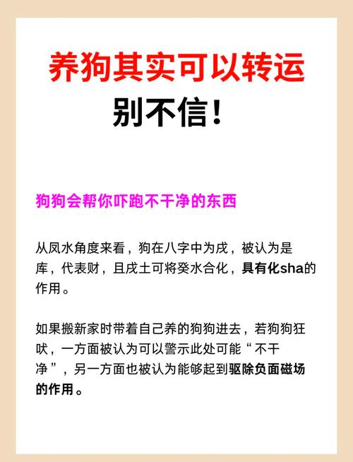 家里养狗狗真的会对风水产生不良影响吗？
